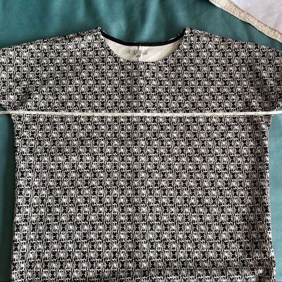 Zara Trafaluc Shift Dress - Picture 7 of 11